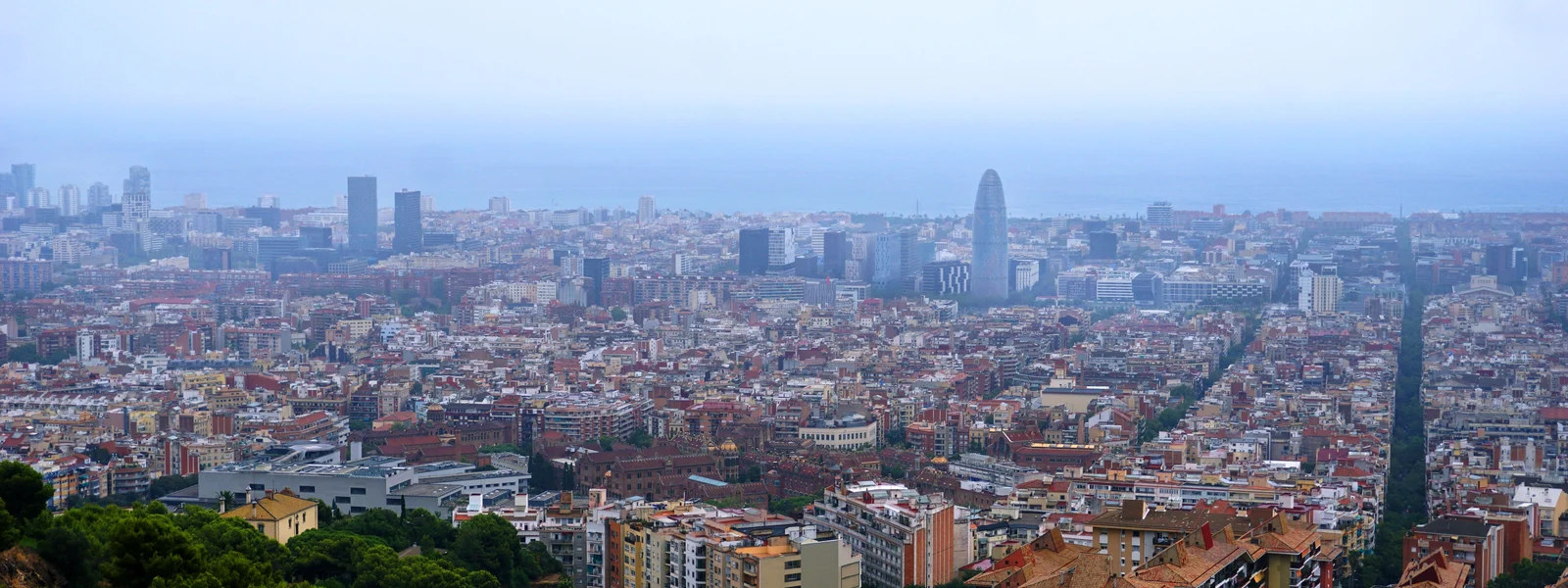 eSIM vs Local SIM in Spain 2026: Which Actually Wins?